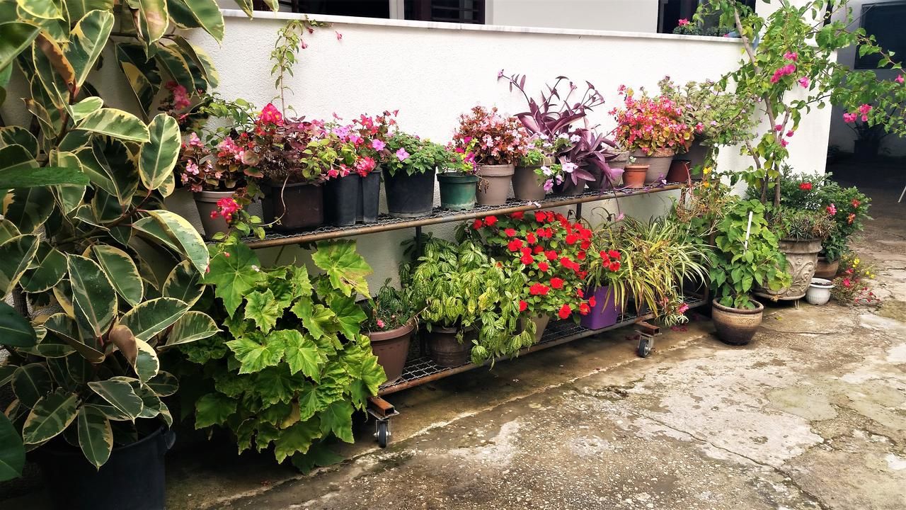 Хостелы Hostel Center Улцинь