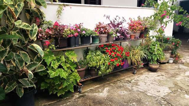 Хостелы Hostel Center Улцинь-42